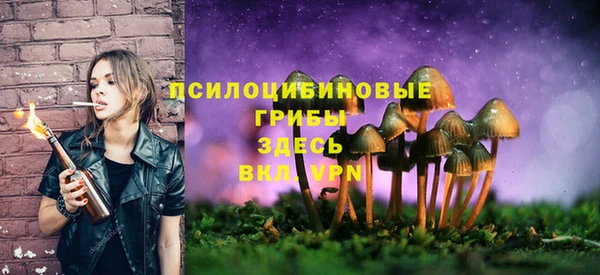 а пвп мука Верхний Тагил