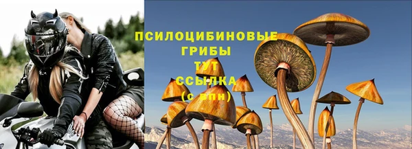 соль курить ск Гусиноозёрск